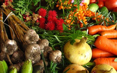 Cleaning Fruits and Veggies