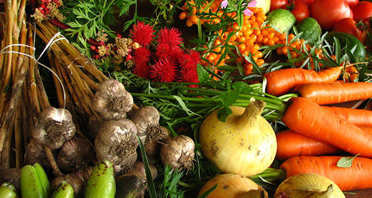 Cleaning Fruits and Veggies