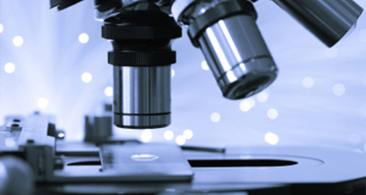 blood_microscope