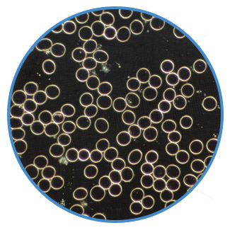 live blood analysis healthy blood