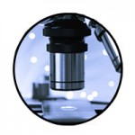liveblood_icon